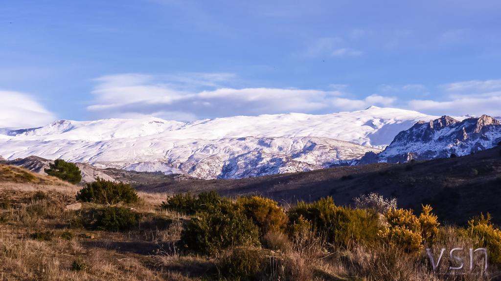 Green Peaks B&B Country House Alojamiento Rural Cortijo de Balsain Exterior foto
